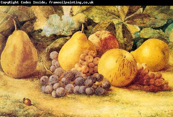 Hill, John William Apples, Pears, and Grapes on the Ground
